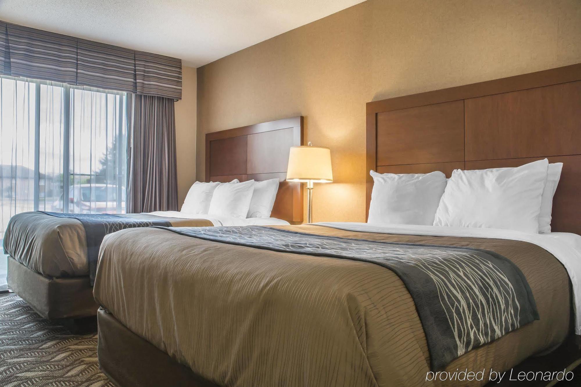 Comfort Inn & Suites Ambassador Bridge Windsor Esterno foto